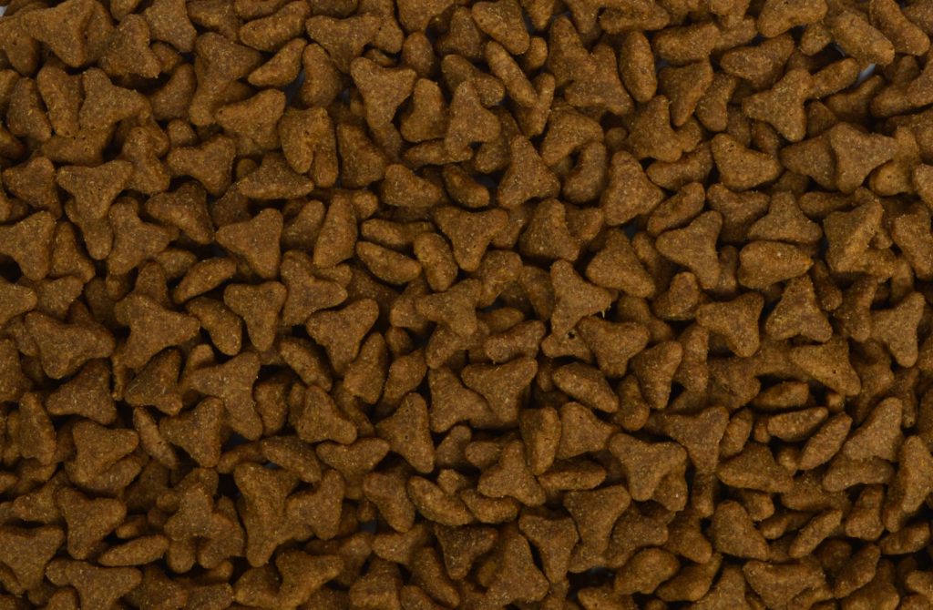 kattenvoer lam rijst