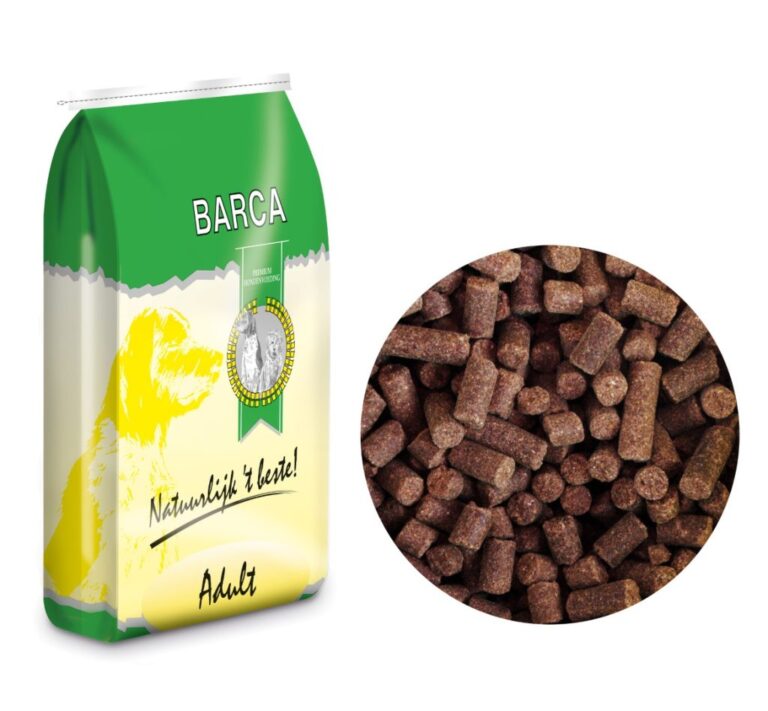 barca adult