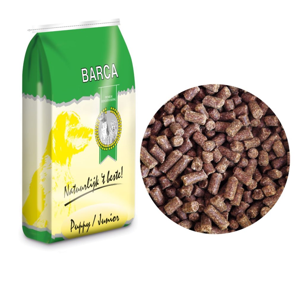 barca puppy junior 2