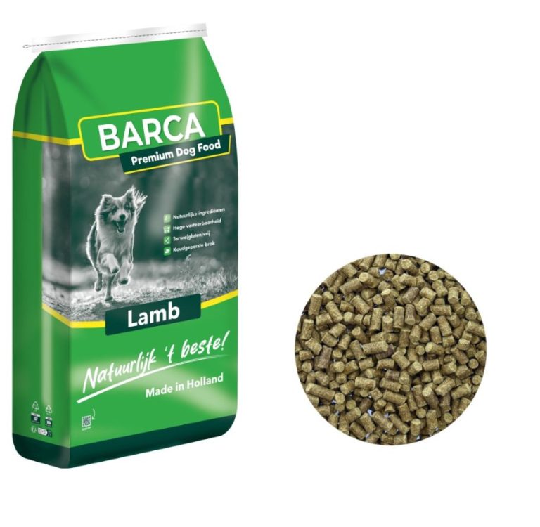 Barca Lamb