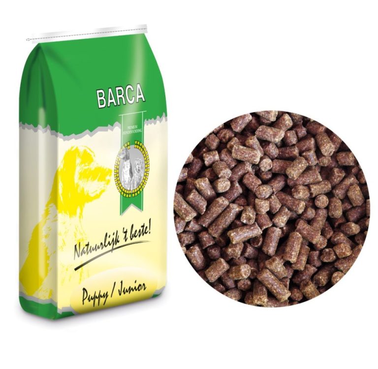 barca puppy junior 2